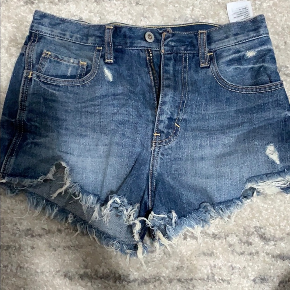 Holliater Festival Shorts